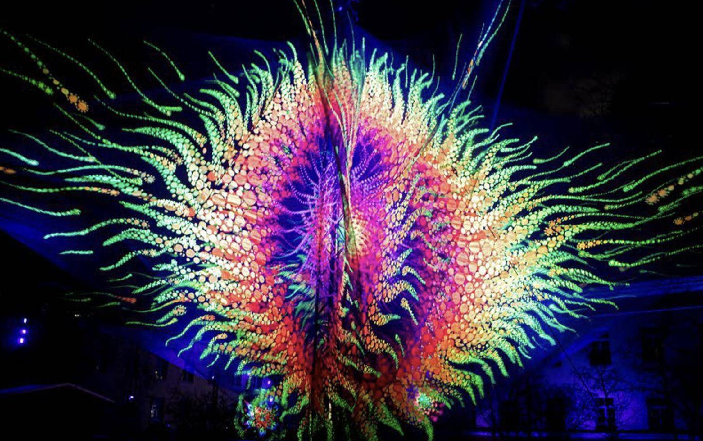 picture of floral looking light installation